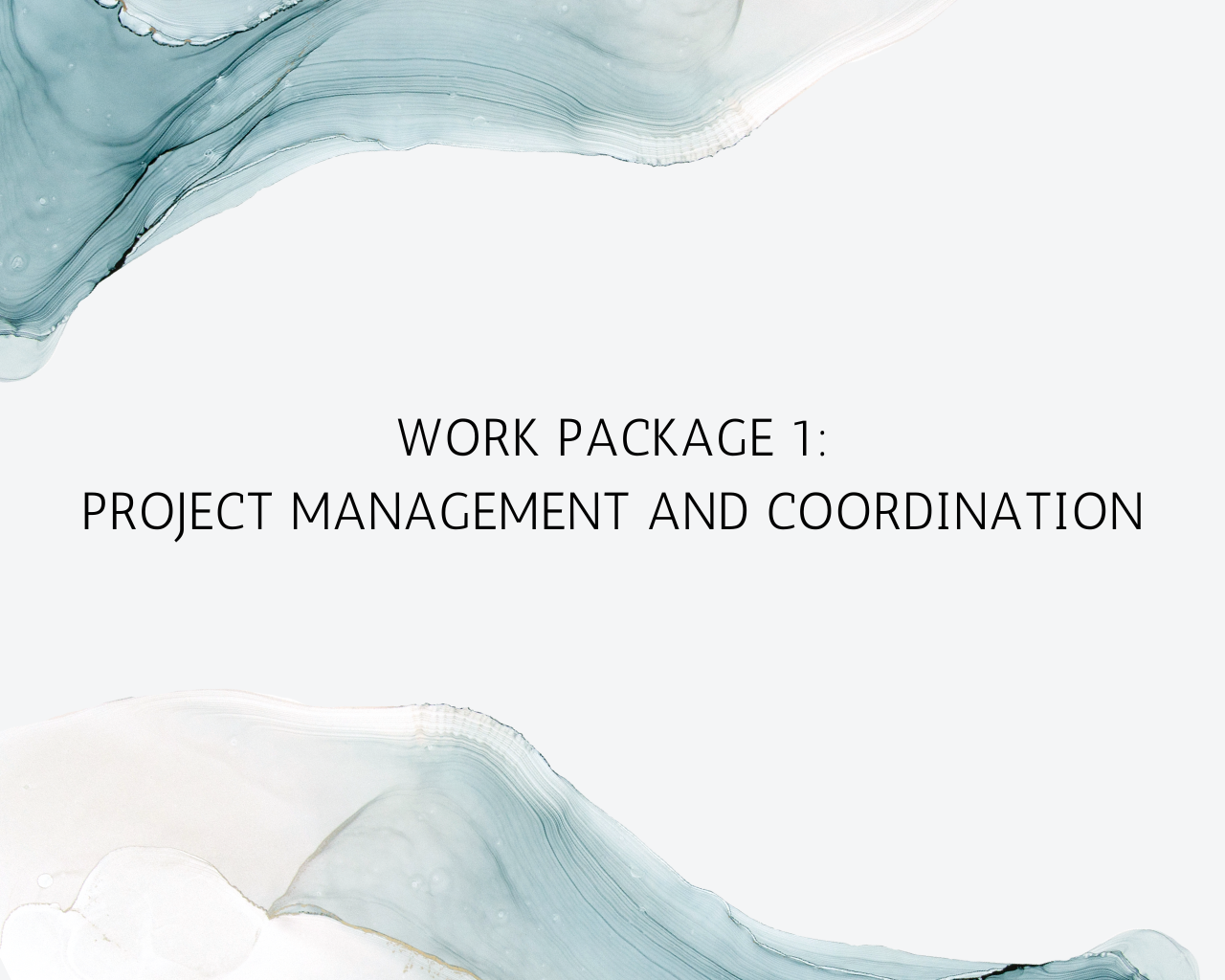 work package 1 Project management and coordination (7)